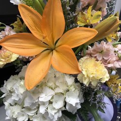 Fink Flowers, Gifts & Flower Delivery