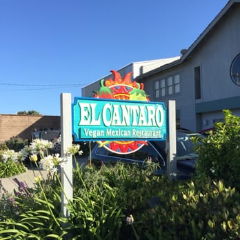 El Cantaro - Sign outside El Cantaro Vegan - Mexican Near Me - Monterey, California El Cantaro - Sign outside El Cantaro Vegan - Mexican Near Me - Monterey, California