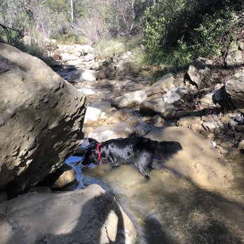 Black Star Canyon Trail - Jameson loving the water while hiking. - Hiking Near Me - Orange, California Black Star Canyon Trail - Jameson loving the water while hiking. - Hiking Near Me - Orange, California