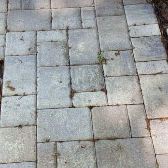 Couch Brick Pavers - Pavers on sidewalk detached. - General Contractors Near Me - Palm Harbor, Florida