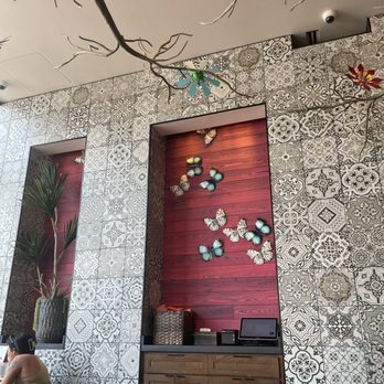 Mi Vida - Decor - Mexican Near Me - Washington, DC, District of Columbia Mi Vida - Decor - Mexican Near Me - Washington, DC, District of Columbia