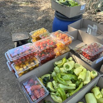 Deja Vu Breakfast Company - Produce!!! - Breakfast & Brunch Near Me - Chico, California Deja Vu Breakfast Company - Produce!!! - Breakfast & Brunch Near Me - Chico, California