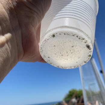 Castaways - Rinsed clams in water. Look at the sand! - Seafood Near Me - Webster, New York