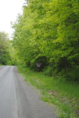 Finger Lakes National Forest by null