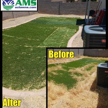 AMS Landscaping - Before and after cleanup in Phoenix. Contact AMS Landscaping at azlawns.com - Landscaping Near Me - Phoenix, Arizona AMS Landscaping - Before and after cleanup in Phoenix. Contact AMS Landscaping at azlawns.com - Landscaping Near Me - Phoenix, Arizona