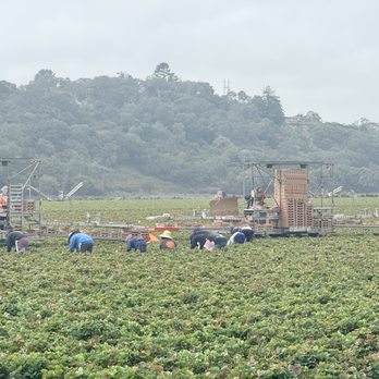 The Beach Street Cafe - Hard working harvesters - Breakfast & Brunch Near Me - Watsonville, California The Beach Street Cafe - Hard working harvesters - Breakfast & Brunch Near Me - Watsonville, California