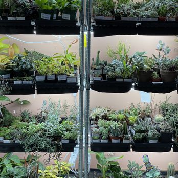 The Other Side Nursery - Succulents - Nurseries & Gardening Near Me - Portland, Oregon The Other Side Nursery - Succulents - Nurseries & Gardening Near Me - Portland, Oregon