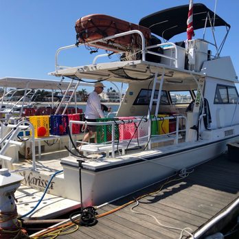 Marissa Charters - Day of diving two reefs - Scuba Diving Near Me - San Diego,, California Marissa Charters - Day of diving two reefs - Scuba Diving Near Me - San Diego,, California