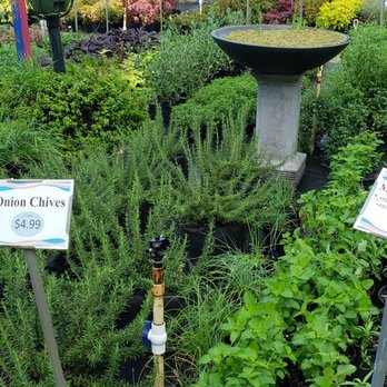 Florida Nursery Mart - Landscaping Near Me - Davie, Florida Florida Nursery Mart - Landscaping Near Me - Davie, Florida