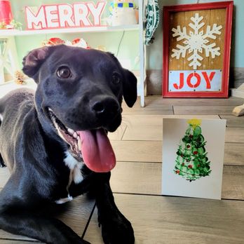 Pack Pawsitive - Olivia's first Christmas. - Pet Training Near Me - Glendora, California
