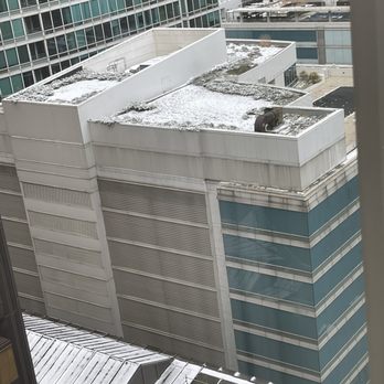 Embassy Suites by Hilton Chicago Downtown Magnificent Mile - View of snow from our room - Hotels Near Me - Chicago, Illinois