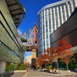 Cornell Tech - November 2022