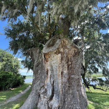 Middleton Place - Museums Near Me - Charleston, South Carolina Middleton Place - Museums Near Me - Charleston, South Carolina