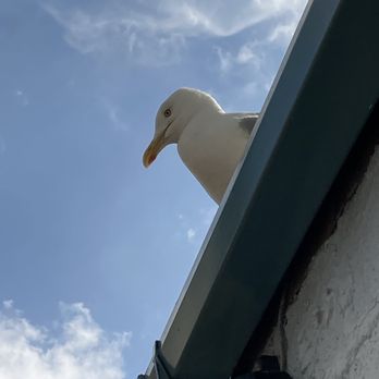 The Ship Inn - I did warn you - Pubs Near Me - Polperro, CON The Ship Inn - I did warn you - Pubs Near Me - Polperro, CON