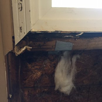 Jgp Building Company - Rotted wood and mold caused by improperly sealing windows done by JGP - Cornelius, North Carolina Jgp Building Company - Rotted wood and mold caused by improperly sealing windows done by JGP - Cornelius, North Carolina