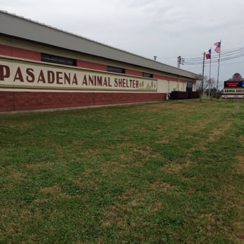 Pasadena Animal Shelter - Side of Building - Animal Shelters Near Me - Pasadena, Texas