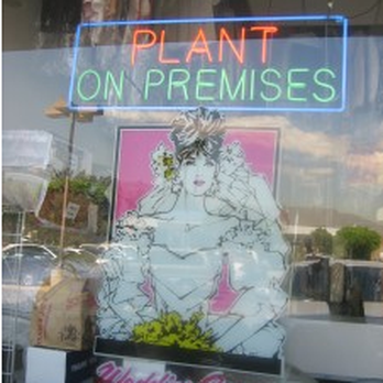 Arroyo Cleaners - Dry Cleaning Near Me - Pasadena, California Arroyo Cleaners - Dry Cleaning Near Me - Pasadena, California