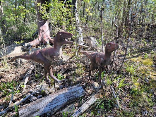 Backyard Terrors and Dinosaur Park by null