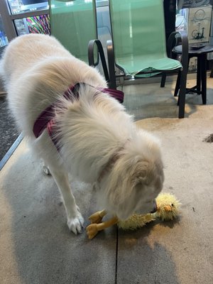 The Smoke Shop by null