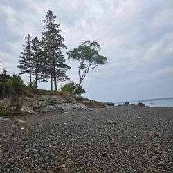 Emery's Cottages On the Shore