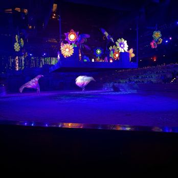 Dolly Parton's Stampede - Butterfly's - Performing Arts Near Me - Pigeon Forge, Tennessee