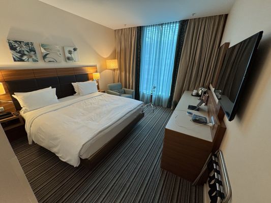 Hilton Garden Inn Frankfurt Airport by null