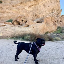 Luna loved hiking here! Luna loved hiking here!