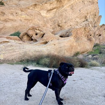 Vasquez Rocks Natural Area Park - Luna loved hiking here! - Parks Near Me - Agua Dulce, California Vasquez Rocks Natural Area Park - Luna loved hiking here! - Parks Near Me - Agua Dulce, California