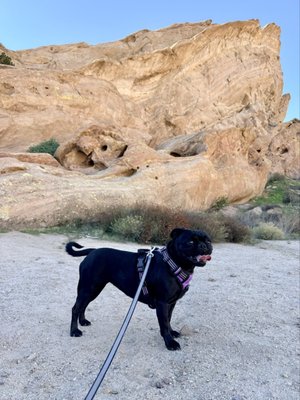 Vasquez Rocks Natural Area and Nature Center by null