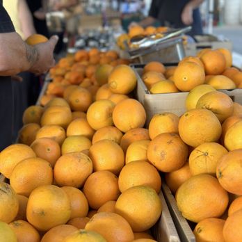Carson Farmers Market - oranges for sale - Farmers Market Near Me - Carson City, Nevada Carson Farmers Market - oranges for sale - Farmers Market Near Me - Carson City, Nevada
