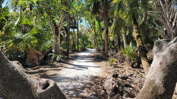 Myakka River State Park by null