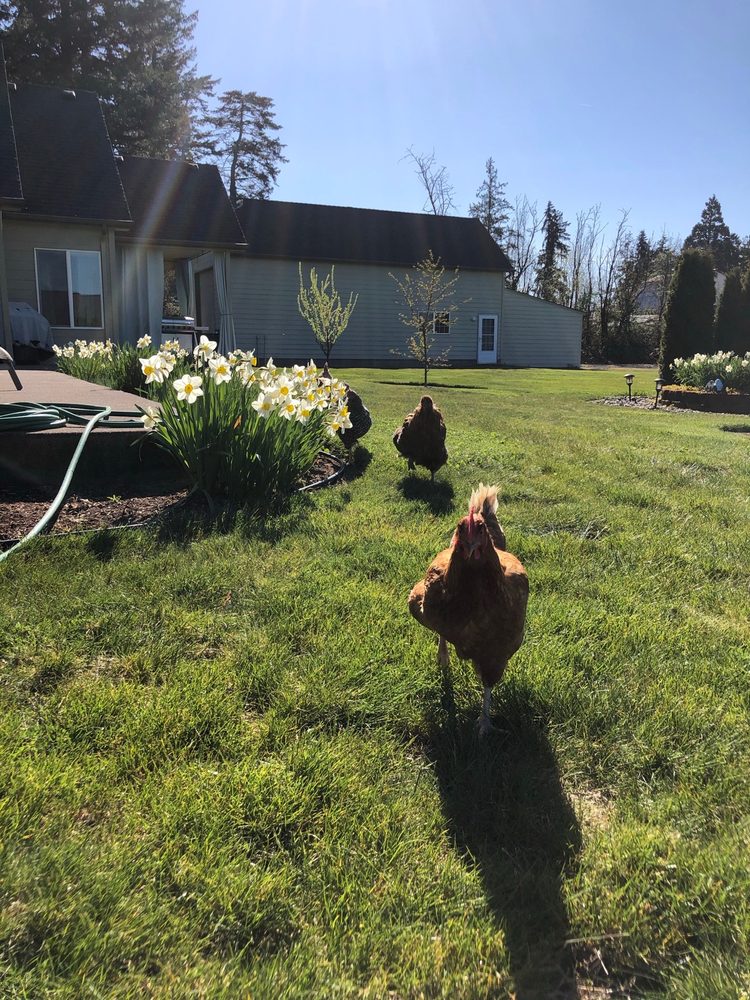 CASCADE FARM AND OUTDOOR Updated October 2024 5013 River Rd N, Keizer, Oregon Home Decor