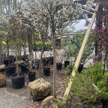 Chalet Nursery - Nurseries & Gardening Near Me - Wilmette, Illinois Chalet Nursery - Nurseries & Gardening Near Me - Wilmette, Illinois
