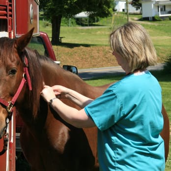Animal Medical Services - Equine veterinary services - Veterinarians Near Me - Mount Airy, North Carolina Animal Medical Services - Equine veterinary services - Veterinarians Near Me - Mount Airy, North Carolina