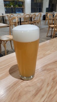 High Branch Brewing Co. by null