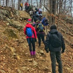 Appalachian Mountain Club - Hiking through the woods (Harriman State Park?)
