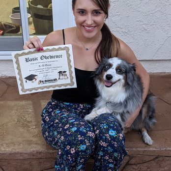 California Search K9 - Boo graduated! - Pet Training Near Me - Moorpark, California California Search K9 - Boo graduated! - Pet Training Near Me - Moorpark, California