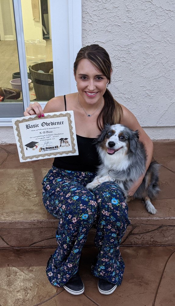 CALIFORNIA SEARCH K9 Updated June 2024 45 Photos 5390 Gabbert Rd, Moorpark, California