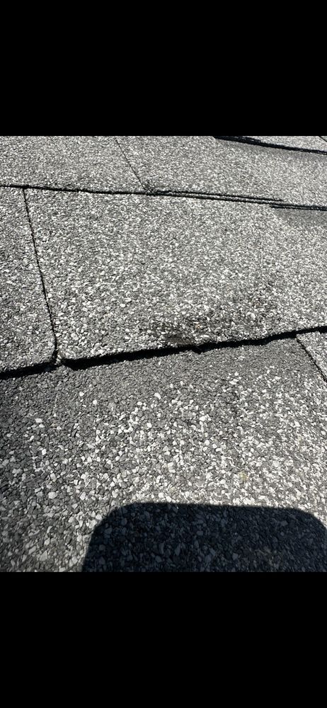 Slide of LA Green Development