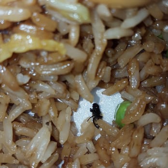China Wok - Found this mixed into my rice from China Wok. Will never be eating here AGAIN. - Chinese Near Me - Columbus, Georgia China Wok - Found this mixed into my rice from China Wok. Will never be eating here AGAIN. - Chinese Near Me - Columbus, Georgia