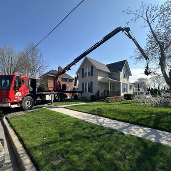 Active Tree Experts - Tree Services Near Me - Richmond, Michigan Active Tree Experts - Tree Services Near Me - Richmond, Michigan