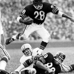 Chicago Bears