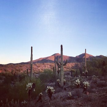 Lost Dog Wash Trail - Hiking Near Me - Scottsdale, Arizona Lost Dog Wash Trail - Hiking Near Me - Scottsdale, Arizona