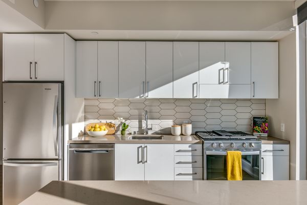 1717 Webster by null