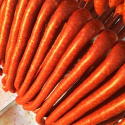 Aurora's Chorizo - It's incredibly lean, lean, lean