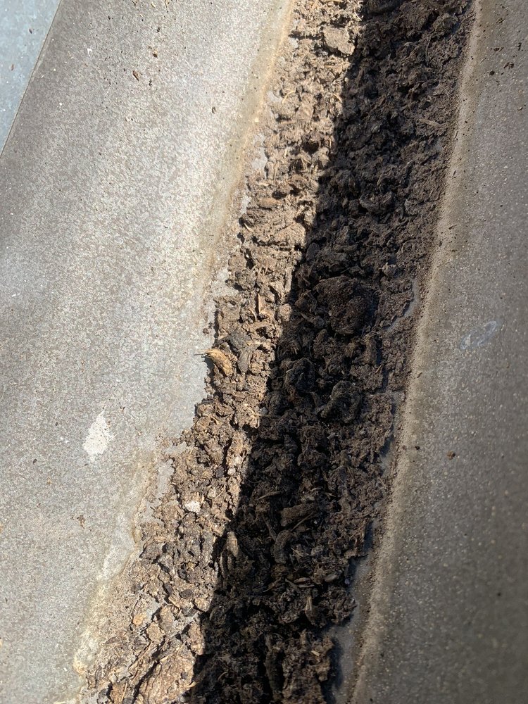 Slide of Lukas Pigeon Removal & Gutter Cleaning