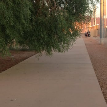 Thompson Peak Park - Look how far over the sidewalk this tree is!!!! almost touching the ground - Parks Near Me - Scottsdale, Arizona