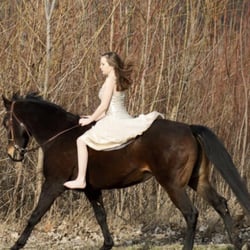 Riverside Stables