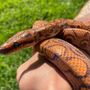 Photo of Twin Falls Zoological Center