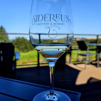 Sidereus Vineyard and Winery - On a Friday after work, we said, "eh why not!" - Wineries Near Me - Cornelius, Oregon Sidereus Vineyard and Winery - On a Friday after work, we said, "eh why not!" - Wineries Near Me - Cornelius, Oregon